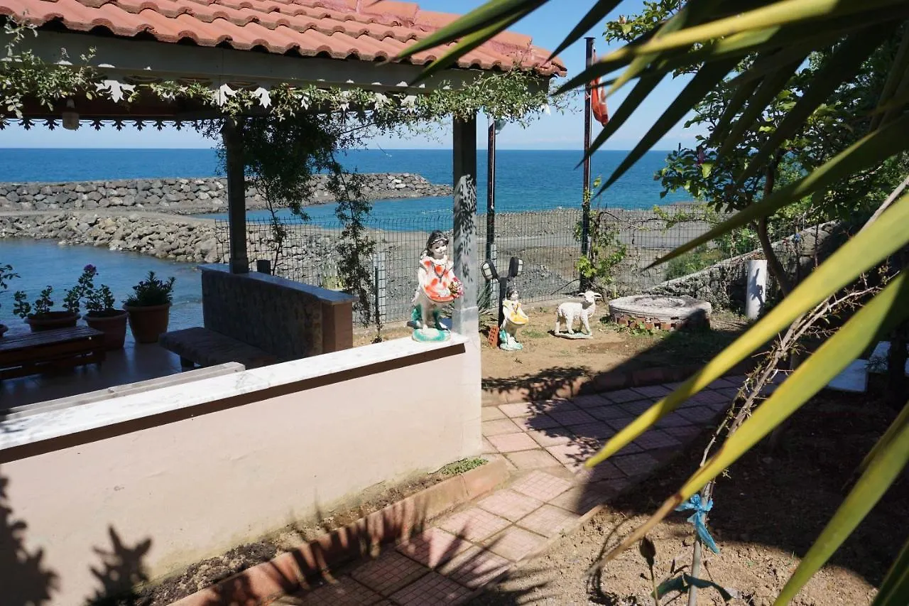 Villa Laila Trabzon Törökország